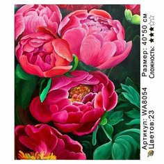 Картина по номерам с пионами на подрамнике 40х50см WA8054 Нет бренда