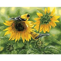 Картина по номерам Птичка на подсолнухе 40х50 см Hobby Home
