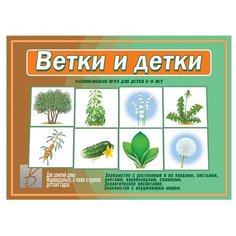 Настольная игра Весна-Дизайн Ветки и детки