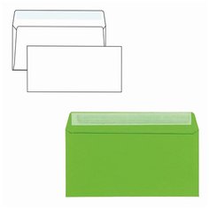 Конверты С65 (114х229 мм) ассорти 5 цветов, отрывная лента, 120 г/м2, комплект 10 шт, европодвес, 225А.10 Курт