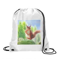 Сумка для обуви CoolPodarok Белочка