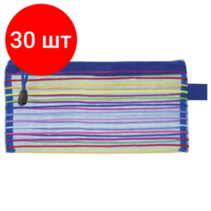 Комплект 30 шт, Папка-конверт на молнии малого формата (255х130 мм), сетчатая ткань, BRAUBERG "Stripes", 224048