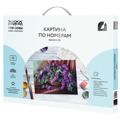 ТРИ СОВЫ картина по номерам Сирень в корзине, 50 х 40 см, разноцветный