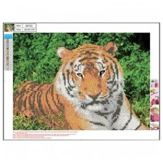 CENTRUM Набор алмазной вышивки 5D Тигр (89752) 30 х 40 см