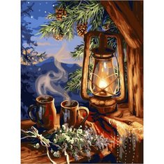 Картина по номерам Холодным вечером 40х50 см Hobby Home