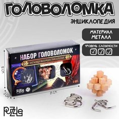 Головоломка металлическая «Загадки Великих писателей», набор 3 шт. Puzzle