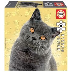 Пазл Кошка Британская 100 деталей Educa