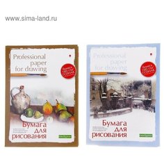 Бумага для рисования А4, 20 листов "Профессиональная серия", блок 150 г/м2, гознак, микс Альт