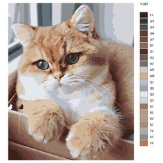 Картина по номерам Y-387 "Кот в коробке у окна" 40х50 Brushes Paints
