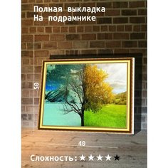 Алмазная мозаика 40х50 HI Stone