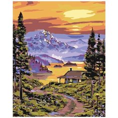 Картина по номерам Домик 40х50 см Hobby Home