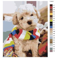 Картина по номерам Y143-1 " Мальтипу с шарфом. Собака", 60x80 см Brushes Paints