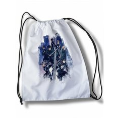 Мешок для cменной обуви аниме Атака титанов - 30458 Brut Boxers