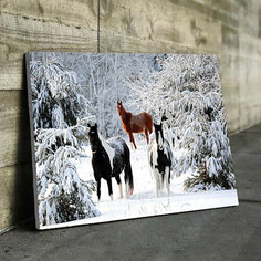 Алмазная мозаика на деревянном подрамнике 33х43 см