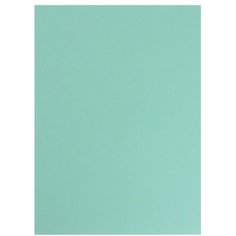 Картон цветной тонированный А2, 200 г/м², зелёный Лилия Холдинг