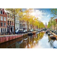 Алмазная мозаика Уютный Амстердам 30x30013 Рыжий кот