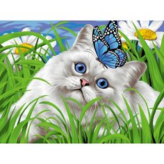 Набор для творчества Алмазная мозаика 30*40, см KiK i "Голубоглазка" полная выкладка VA038