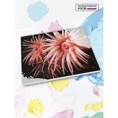 Картина по номерам Актиния, 30 х 40 см