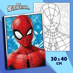 Картина по номерам в плёнке, 30х40 см Случай