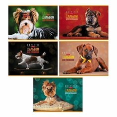 Альбом для рисования А4, 40 листов, на скрепке, Любимые питомцы, обложка мелованный картон, блок 100 г/м2, Нет бренда