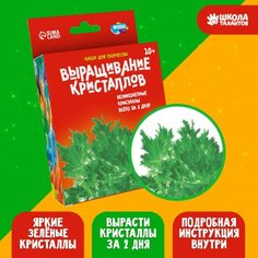 Набор для творчества «Лучистые кристаллы», цвет зелёный Россия