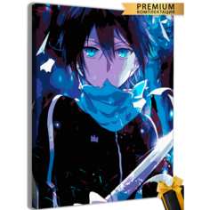 Картины по номерам Бездомный Бог Аниме 40x50