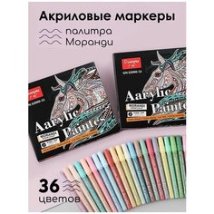 Акриловые маркеры на водной основе, тегинг маркеры, набор для скетчинга, рисования и творчества на любых поверхностях (36 цветов) Cozy&Dozy