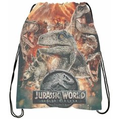 Мешок для обуви Парк юрского периода - Jurassic Park № 13 Bugrikshop