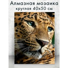 Алмазная мозаика (круглая) Леопард 40х50 см Colibri