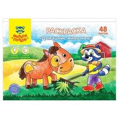 Раскраска А5 Мульти-Пульти "Домашние животные", 48л, в папке, 2 штуки