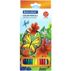 Карандаши цветные BRAUBERG "Wonderful butterfly", 12 цветов, заточенные, картонная упаковка с блестками, 180535 Комплект : 1 шт .