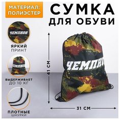 Сумка для обуви «Чемпион», полиэстер, размер 41х31 см Art Fox