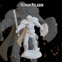 Паладин 49,7мм человек мужчина фигурки/миниатюры (ДнД, DnD, D&D, Dungeons & Dragons, Pathfinder, Подземелья и Драконы, Wargames) Нет бренда
