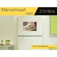 Магнитный пазл "Кошка, домашний питомец, животное" на холодильник 27 x 18 см. Lots Prints