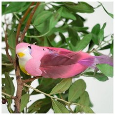 Птичка для декора и флористики, на прищепке, микс, пластиковая, 1шт, 8 х 8 см Noname