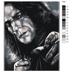 Картина по номерам T884 "Гарри Поттер. Северус Снегг" 80x100 Brushes Paints