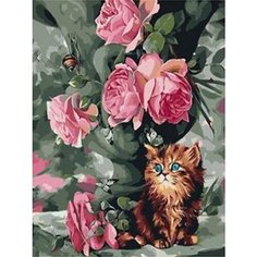 Картина по номерам Котёнок 40х50 см Hobby Home