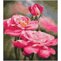 Картина по номерам Розы 40х50 см Hobby Home
