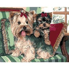 Картина по номерам Йоркширские терьеры 40х50 см Hobby Home