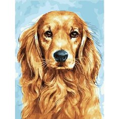 Картина по номерам Спаниель 40х50 см Hobby Home