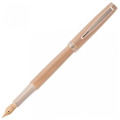 Перьевая ручка Pierre Cardin Shine PC2305FP