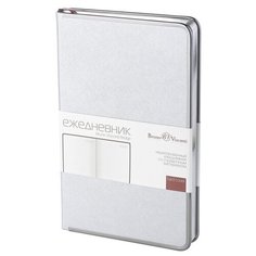Ежедневник А5 недатированный Bridge, серебристый Bruno Visconti