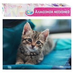 Набор для творчества Алмазная мозаика Котенок 40*50см частичная выкладка 87149 Centrum