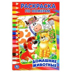 Раскраска по номерам "Домашние животные", Умка