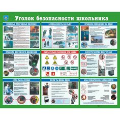 Стенд информационный по безопасности "уголок ПО безопасности школьника" 1000х800 мм Палитра