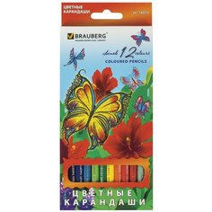 BRAUBERG Карандаши цветные brauberg wonderful butterfly , 12 цветов, заточенные, картонная упаковка с блестками, 180535, 6 шт.
