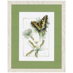 Набор для вышивания Lanarte PN-0021620 From Caterpillar to Butterfly