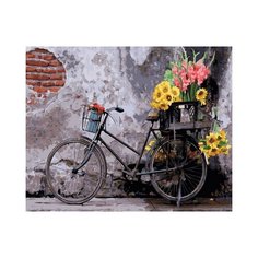 Картина по номерам на холсте 40х50, Ретро велосипед Цветной