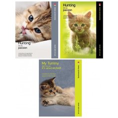 Блокнот «Котята» (А6, 40л, на скрепке,) Альт