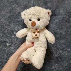 Мягкая игрушка Медвежонок Республика Цветов